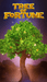 PG Soft Tree of Fortune Intro