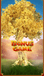 Bonus Game